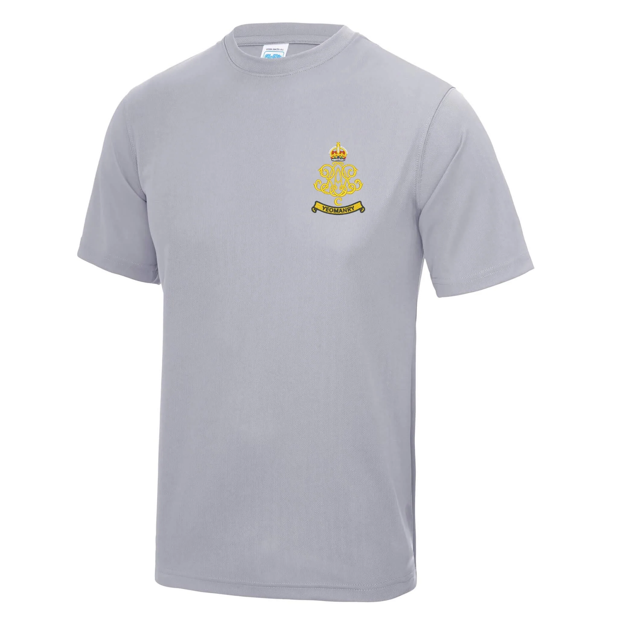 100th Regiment Royal Artillery Polyester T-Shirt - Image 9