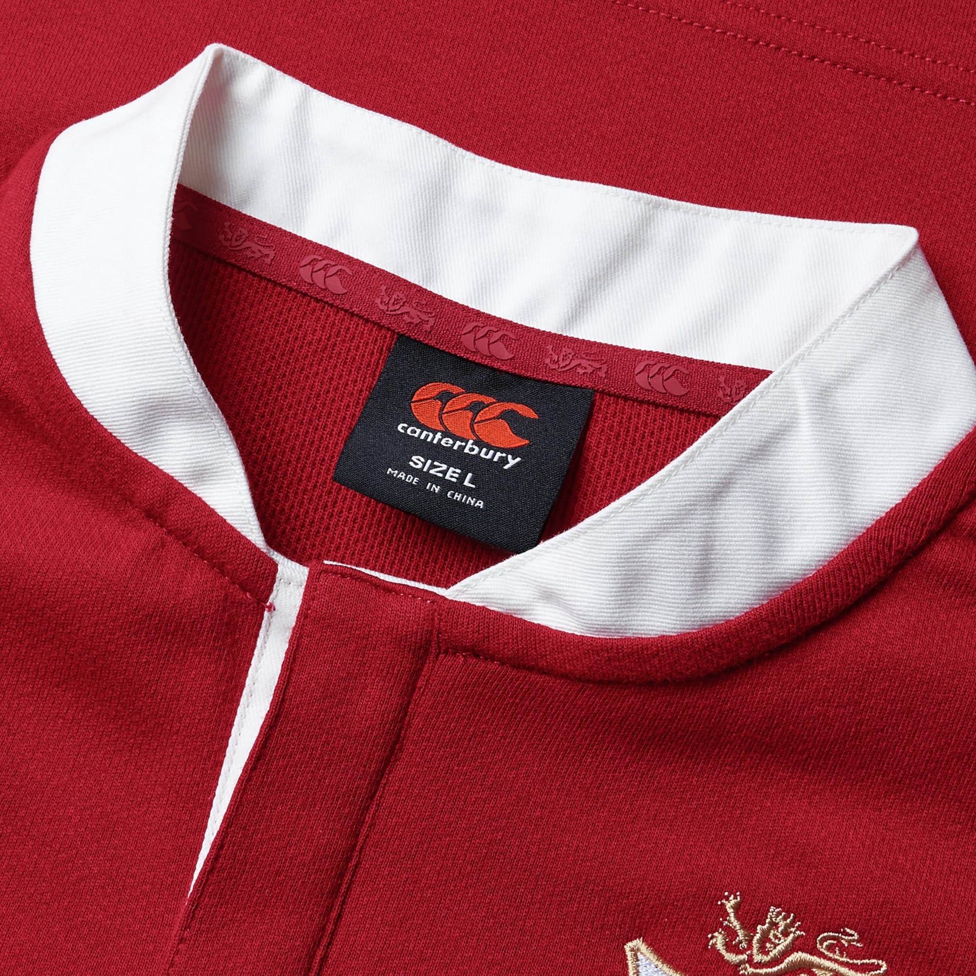 British & Irish Lions 2025 CCC Short Sleeve Classic Jersey - Image 4