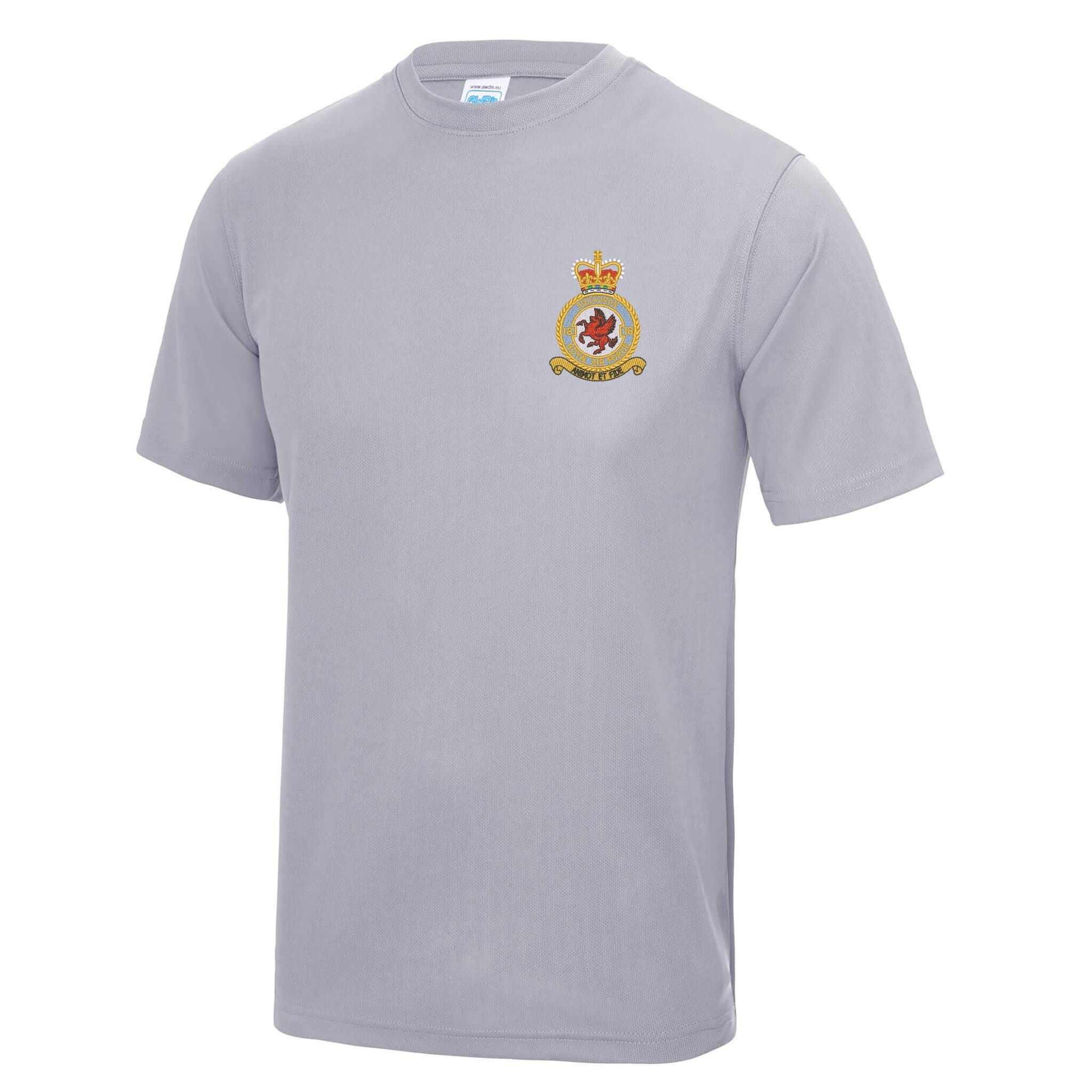 No 18 Squadron RAF Polyester T-Shirt - Image 11