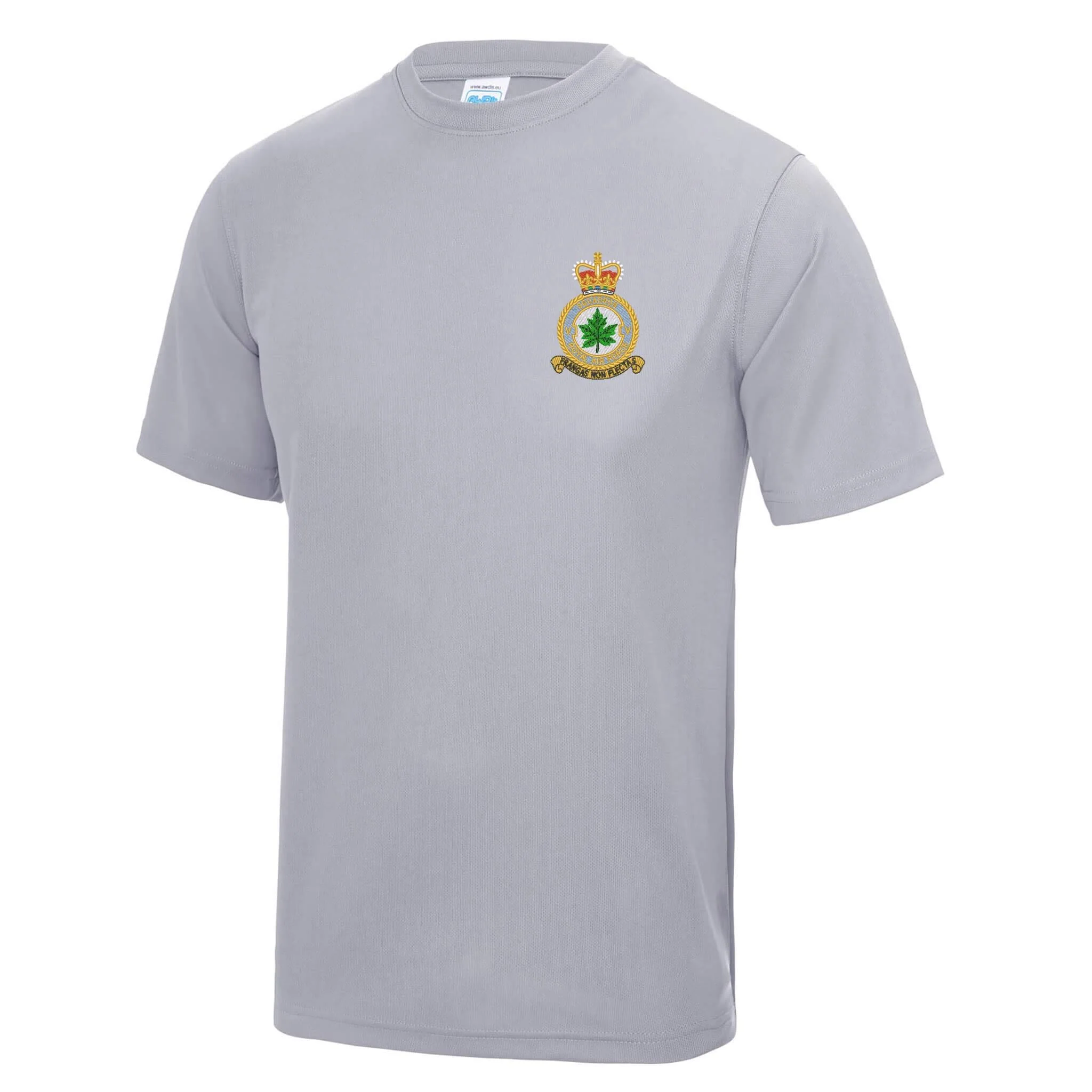 No 5 Squadron RAF Polyester T-Shirt - Image 9