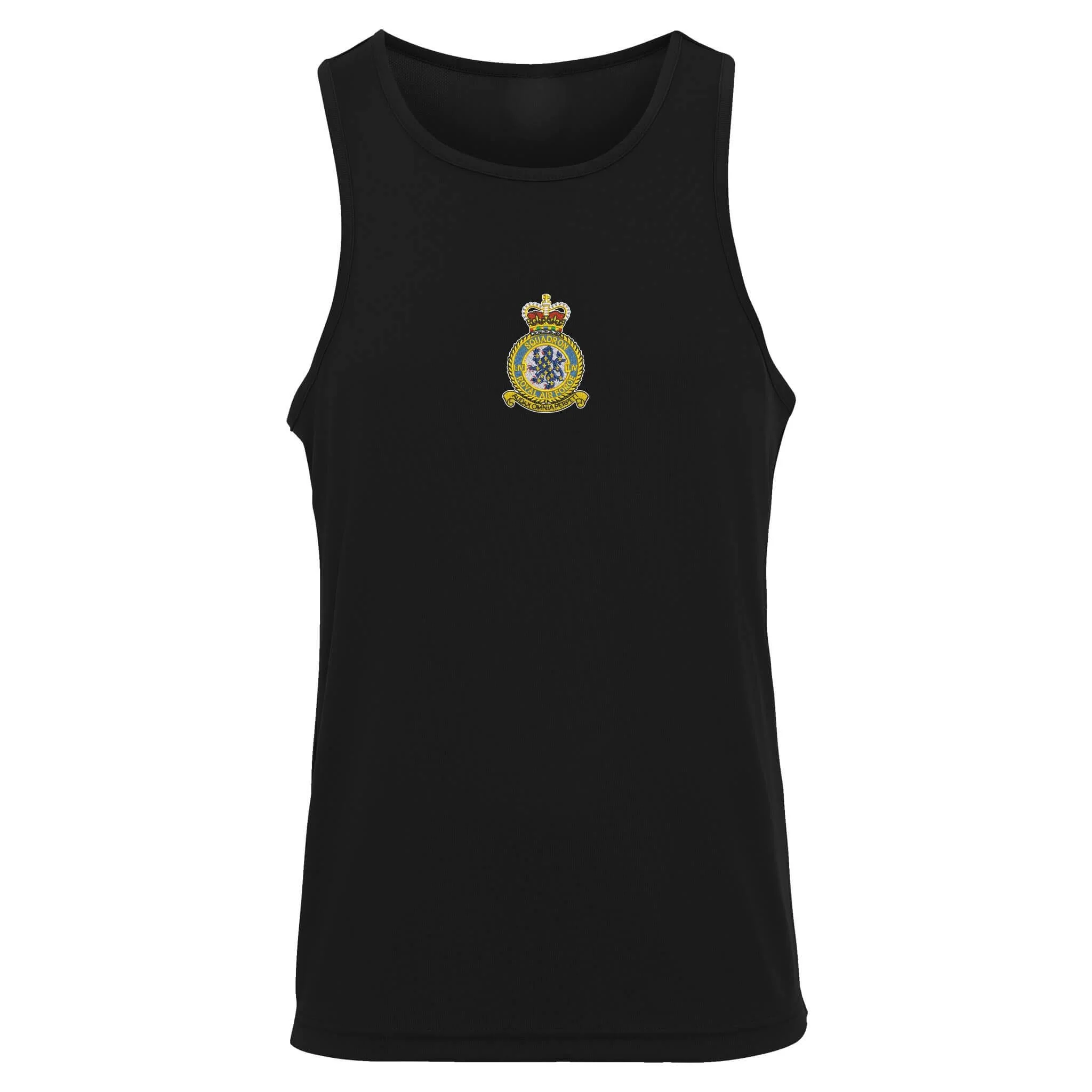 No 54 Squadron RAF Vest