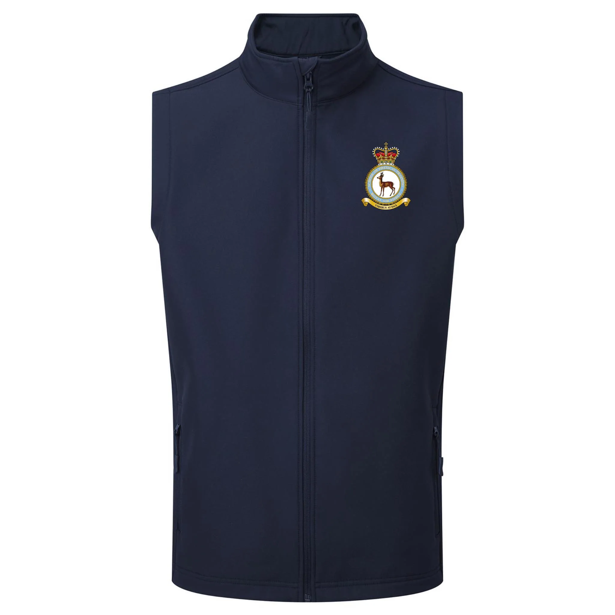 RAF School of Physical Training Gilet - Image 3